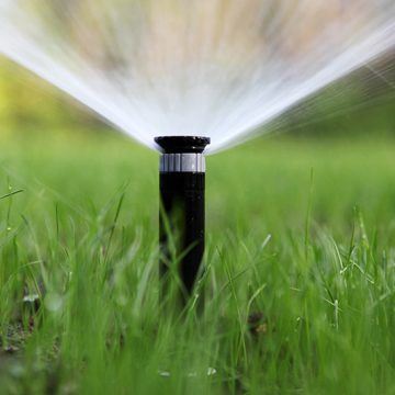 Image of sprinkler in grass